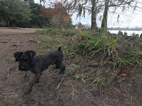 Petes Pet Concierge - Photo 4 - Car repair in , Orlando