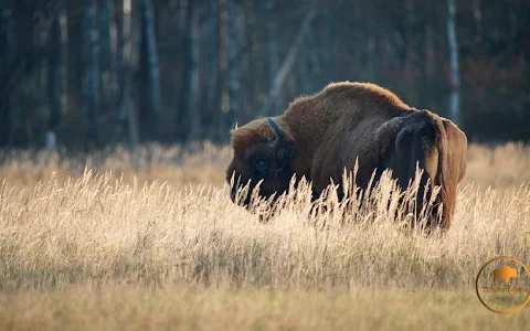 Schorfheide Wildlife Park image