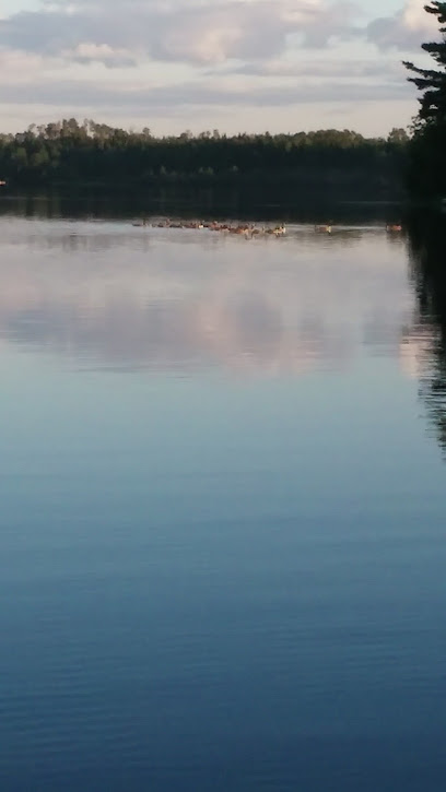 Lower Balsam Lake