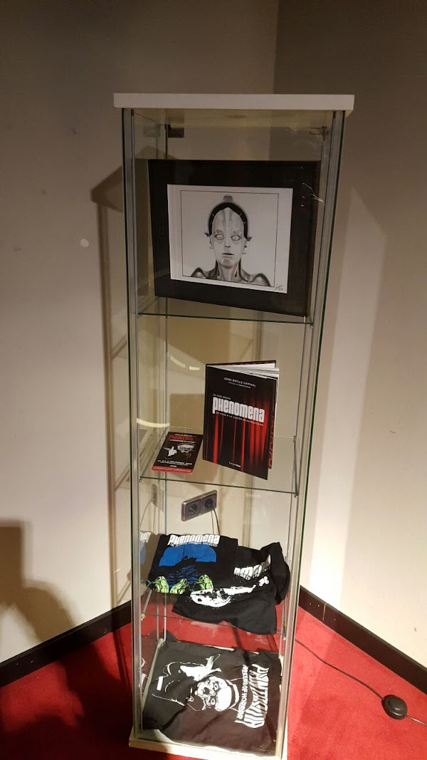 Imagen de Phenomena Experience (9 de 23)