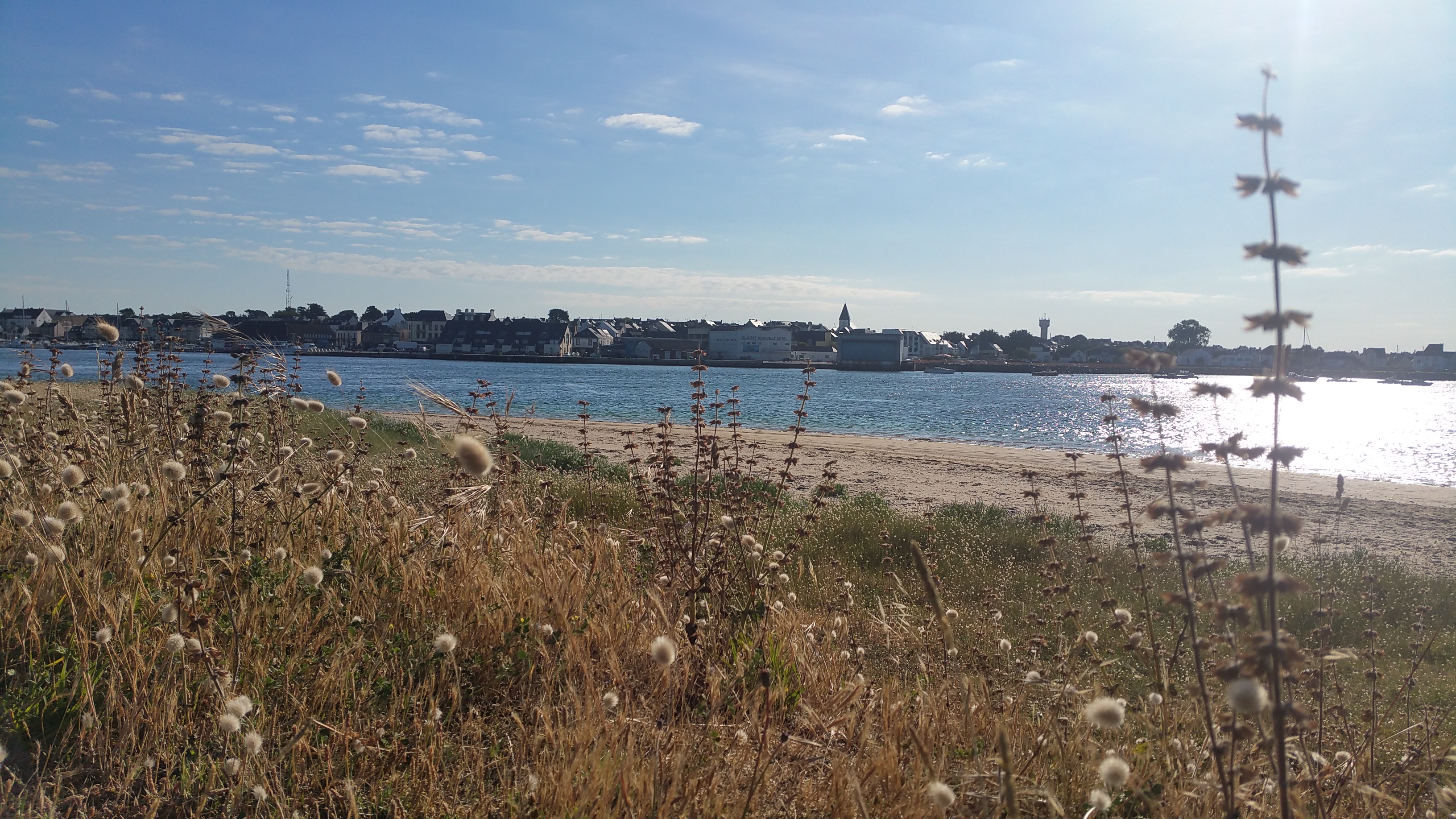 Photo n° 1 de l'avis de Plunian.t fait le 15/09/2023 à 06:57