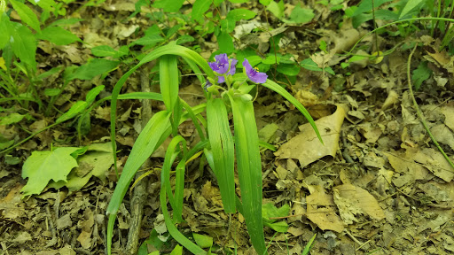 Nature Preserve «Caldwell Nature Center», reviews and photos, 430 W North Bend Rd, Cincinnati, OH 45216, USA