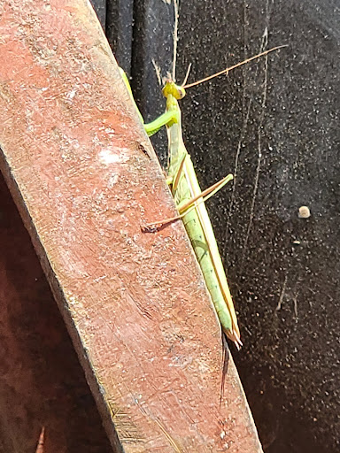 Landscaping Supply Store «Colorado Materials, Inc.», reviews and photos, 1541 Boston Ave, Longmont, CO 80501, USA
