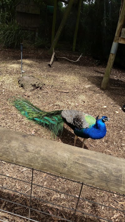 Photos of Hamilton Botanic Gardens