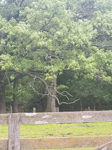 History Museum «Living History Farms», reviews and photos, 11121 Hickman Rd, Urbandale, IA 50322, USA