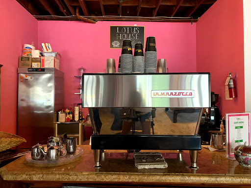 Thrift Store «Lotus House Thrift Chic Boutique», reviews and photos, 2040 NW 7th Ave, Miami, FL 33127, USA