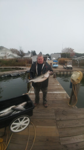 Marina «Smith Point Marina», reviews and photos, 989 Smith Point Rd, Reedville, VA 22539, USA