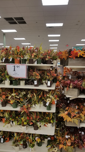 Home Goods Store «Christmas Tree Shops», reviews and photos, 393 N Central Ave, Hartsdale, NY 10530, USA