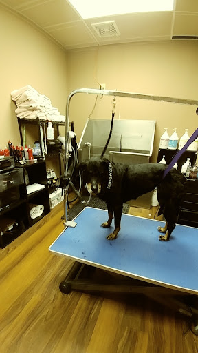 Pet Store «Pet Valu», reviews and photos, 2645 Shillington Rd, Sinking Spring, PA 19608, USA