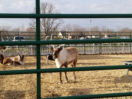 Resort «Rising Star Casino Resort - Rising Sun», reviews and photos, 777 Rising Star Dr, Rising Sun, IN 47040, USA