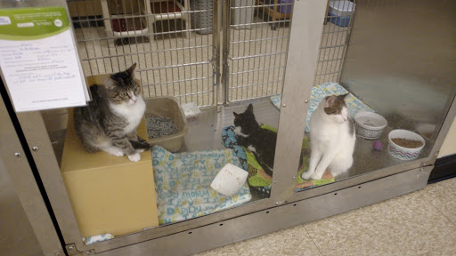 Pet Supply Store «PetSmart», reviews and photos, 310 NJ-36, West Long Branch, NJ 07764, USA