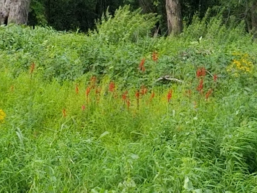 Boat Tour Agency «Maiden Voyage Tours», reviews and photos, 111 Front St, McGregor, IA 52157, USA