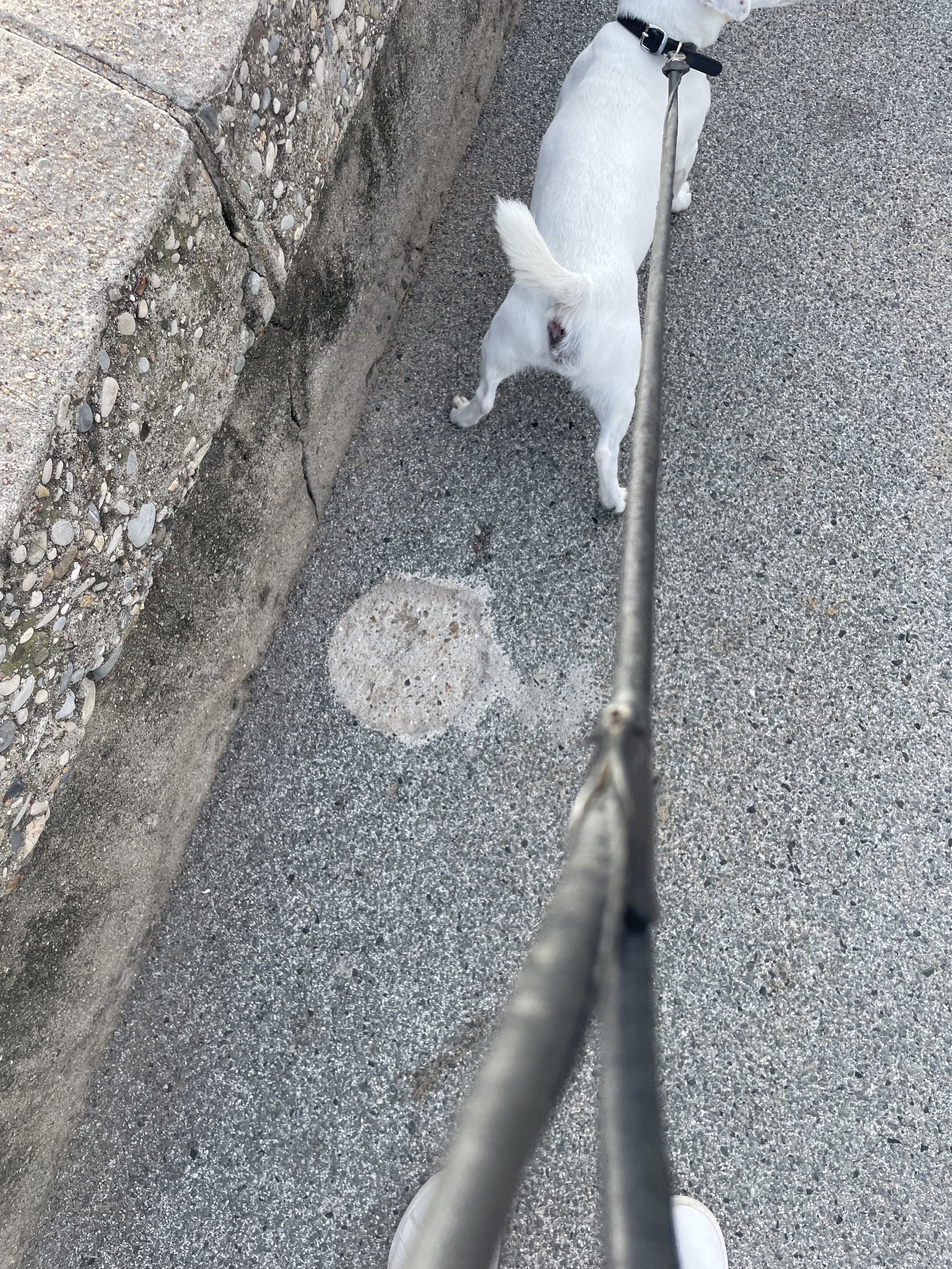 Photo n° 1 de l'avis de J.Pierre.a fait le 18/02/2024 à 16:07