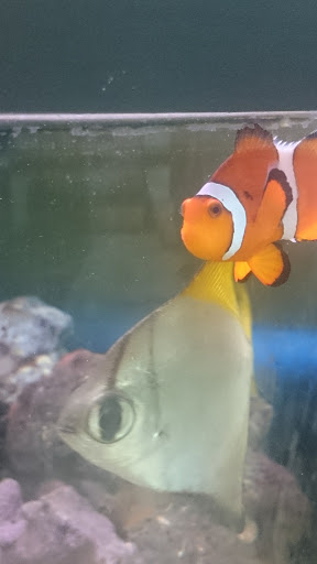 Pet Store «Pets Plus - Quakertown», reviews and photos, 117 S West End Blvd, Quakertown, PA 18951, USA