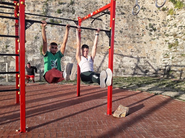 StreetworkoutCalistenia