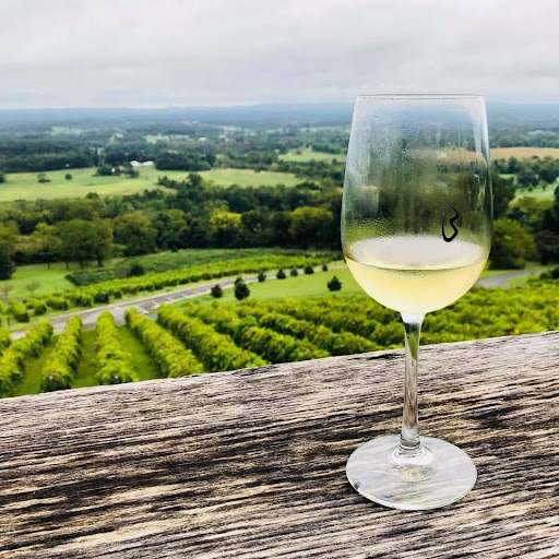 Winery «Bluemont Vineyard», reviews and photos, 18755 Foggy Bottom Rd, Bluemont, VA 20135, USA