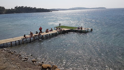 Photo de Zeytinli kamp beach zone des équipements