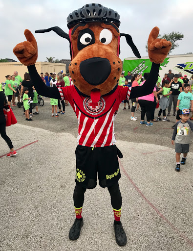 Bicycle Store «Bicycle World of Brownsville», reviews and photos, 1275 N Expy, Brownsville, TX 78520, USA