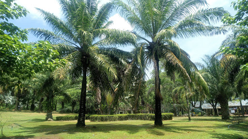 Rama park phuket