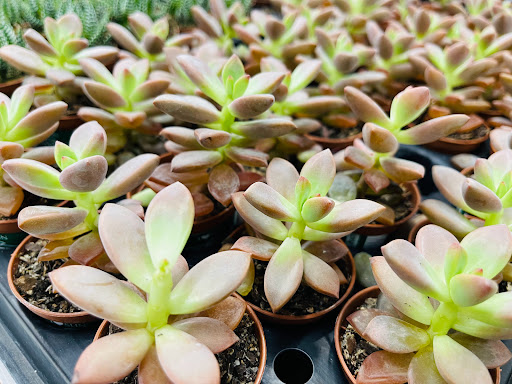 Discount Store «Walmart», reviews and photos, 6405 Dobbin Rd, Columbia, MD 21045, USA