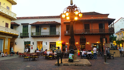 Cepa courses Cartagena