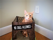 While You're Away, LLC - Photo 1 - Car repair in Delray Beach, FL, West Palm Beach