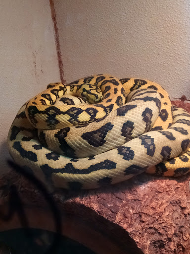 Pet Supply Store «House of Pets Inc», reviews and photos, 29500 Ford Rd, Garden City, MI 48135, USA