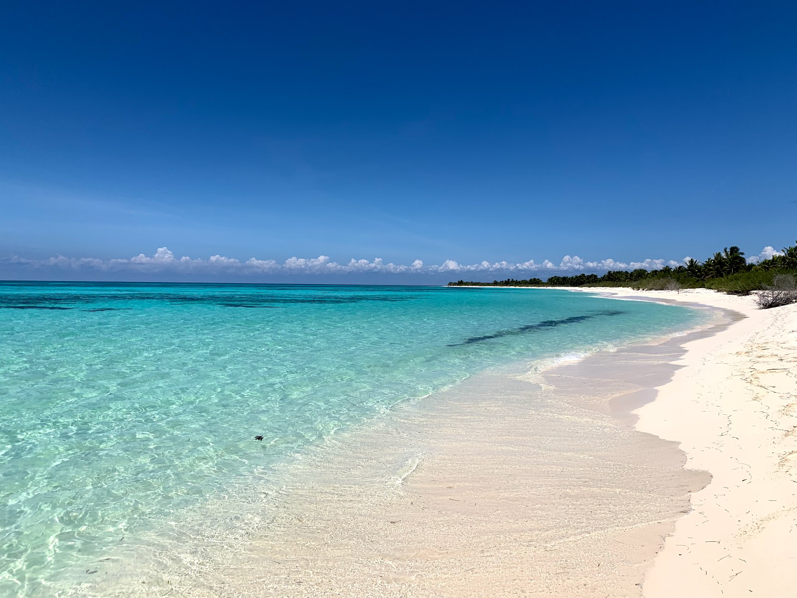 Foto van Playa "El Cielo" met helder fijn zand oppervlakte