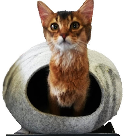 eugstis.net - Katzennetze, Design Katzenbetten und Fummelbretter