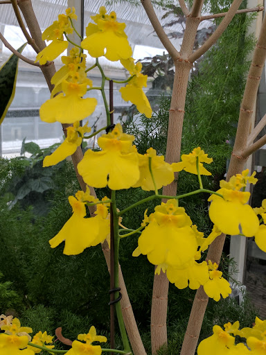 Museum «Oldfields–Lilly House & Gardens», reviews and photos, 4000 N Michigan Rd, Indianapolis, IN 46208, USA