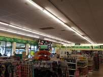 Dollar Tree - Photo 8 - Car repair in Marysville, WA, Marysville