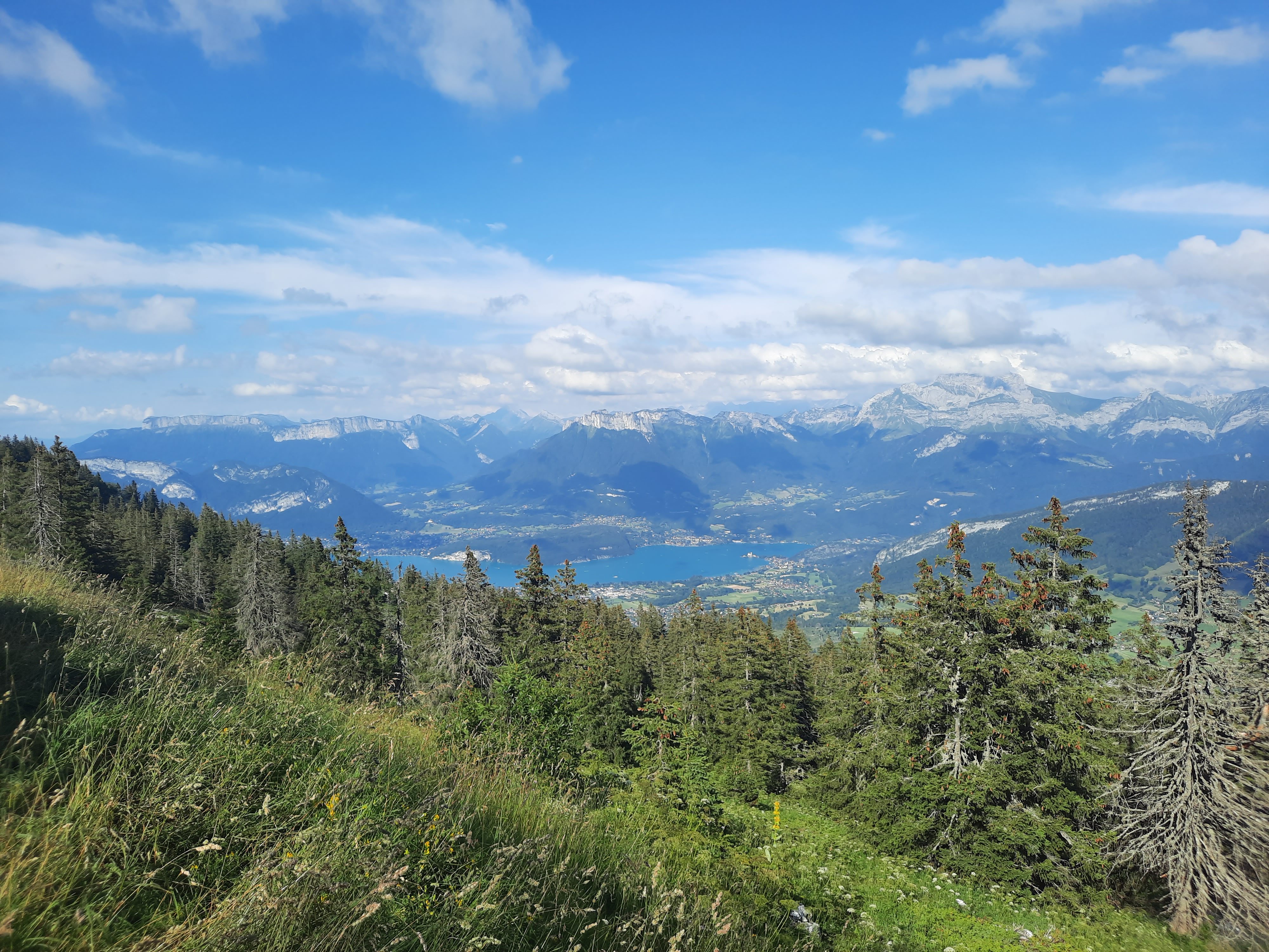 Photo n° 15 de l'avis de Moïse.a fait le 17/08/2021 à 02:16