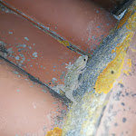 Photo n°10 de l'avis de Heribert.c fait le 26/05/2022 à 10:50 sur le  Hotel Fabricia à Portoferraio