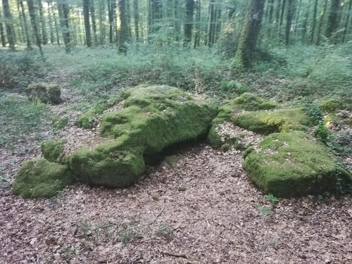 Dolmen de la Pierre du Trésor à Landéan