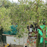 Photo n°1 de l'avis de Adriana.r fait le 09/07/2021 à 12:11 sur le  Agriturismo Marilena la Casella à Lisciano Niccone