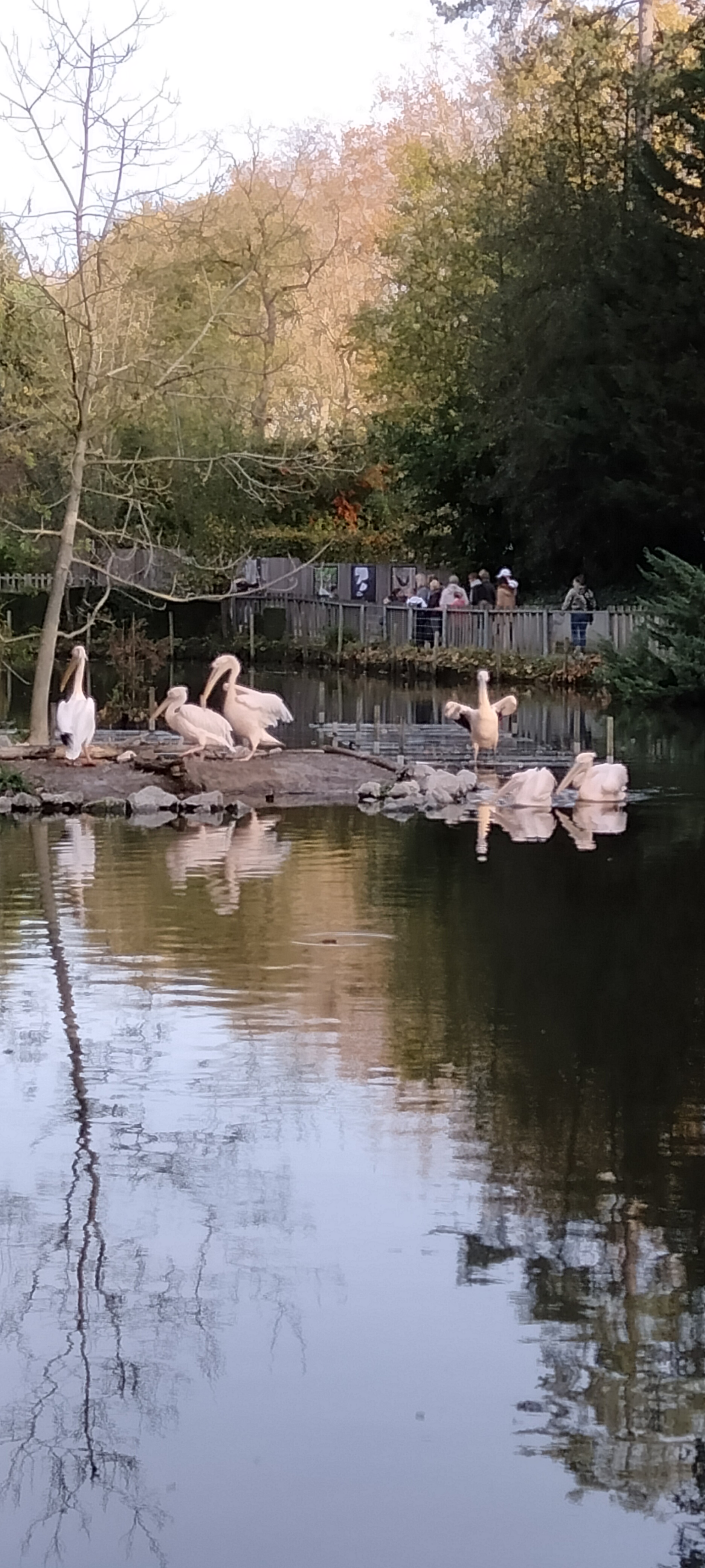 Photo n° 14 de l'avis de Sylvie.U fait le 07/11/2022 à 08:33