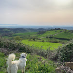 Photo n°8 de l'avis de Roee.h fait le 21/04/2022 à 08:10 sur le  Follonico à Torrita di Siena
