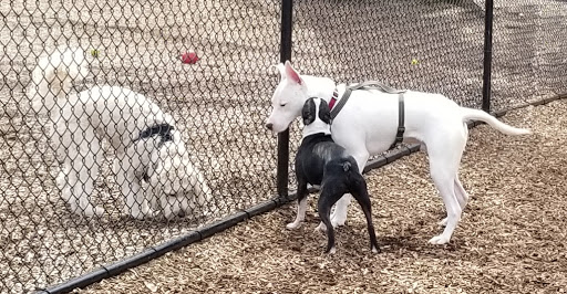 Recreation Center «Clark Recreation Center», reviews and photos, 59 Campbell Ave, Airmont, NY 10901, USA