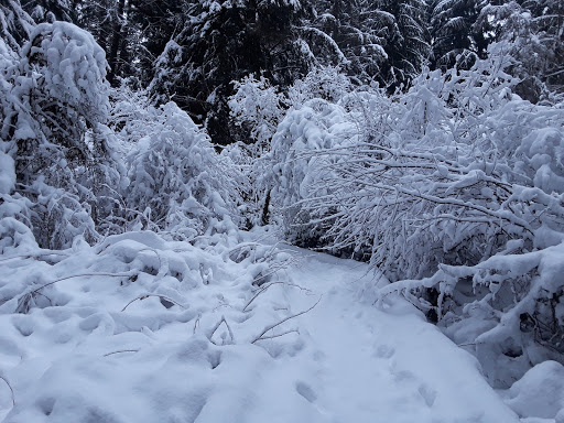 Park «West Hylebos Wetlands Park», reviews and photos, 411 S 348th St, Federal Way, WA 98003, USA