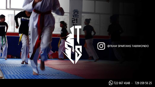 Instituto Supremo De Taekwondo Spartans