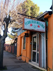 Florería Milenia