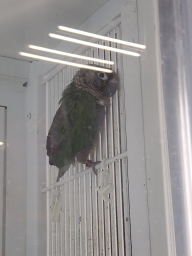 Pet Supply Store «Petco Animal Supplies», reviews and photos, 3731 Gateway Dr, Eau Claire, WI 54701, USA