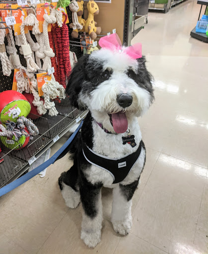 Pet Supply Store «Petco Animal Supplies», reviews and photos, 517 N 3rd Pl, Manhattan, KS 66502, USA