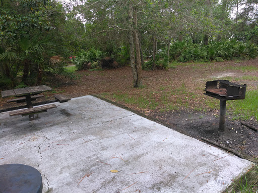 Park «Northeast Park and Paw Place», reviews and photos, 4630 E Bay Dr, Clearwater, FL 33764, USA