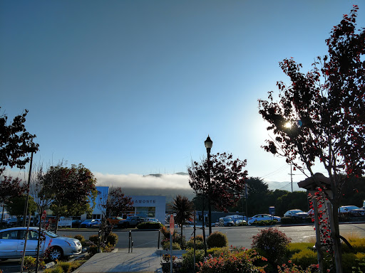 Ford Dealer «Serramonte Ford», reviews and photos, 999 Serramonte Blvd, Colma, CA 94014, USA