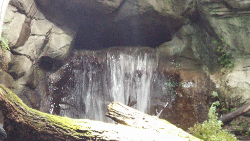 Aquarium «Oklahoma Aquarium», reviews and photos, 300 Aquarium Dr, Jenks, OK 74037, USA