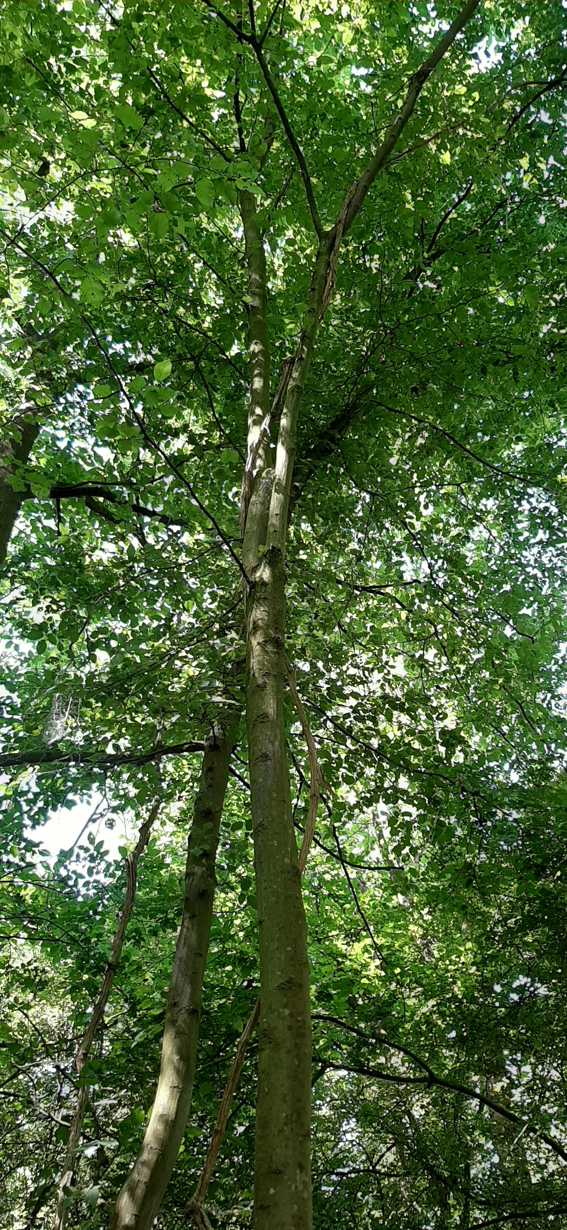 Photo n° 2 de l'avis de J. fait le 14/06/2020 à 11:42
