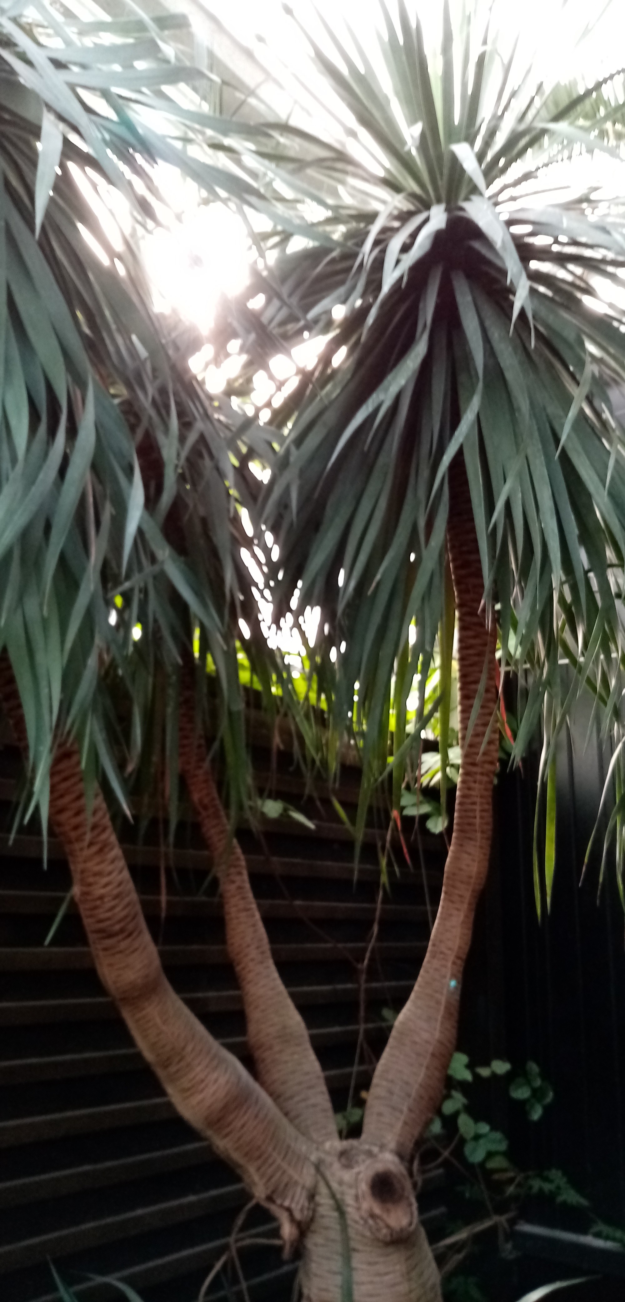 Photo n° 8 de l'avis de Laurent.d fait le 27/09/2019 à 14:02