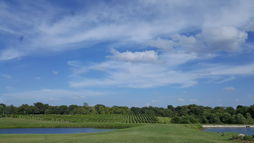 Winery «Villa Marie Winery & Banquet», reviews and photos, 6633 E Main St, Maryville, IL 62062, USA