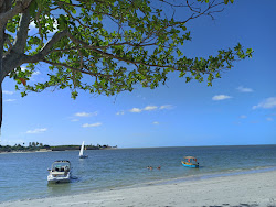 Photo de Plage de Coroa do Aviao et le règlement